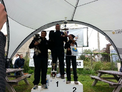 du domaine de Cha Su Bao - Championnat Régional D'agility 3ème Degré