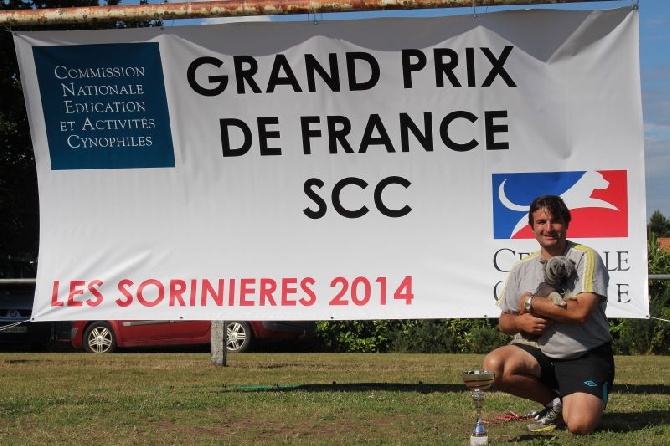 du domaine de Cha Su Bao - Résultats en vidéo du grand prix de France 2014