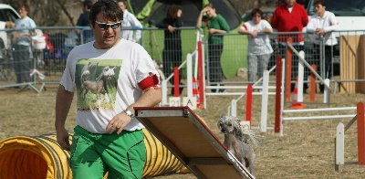 du domaine de Cha Su Bao - Vidéo du Grand Prix de France d'Agility 2013