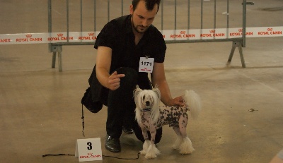 du domaine de Cha Su Bao - Spéciale de Race... Béziers 2013