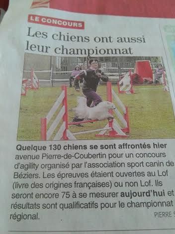 du domaine de Cha Su Bao - Agility Mars 2014 Fatalou et Chantal