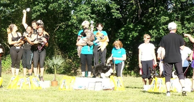 du domaine de Cha Su Bao - Trophée par équipe Sud Est