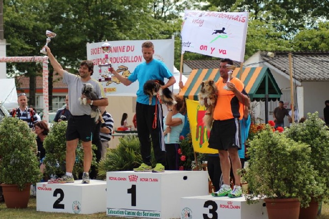 du domaine de Cha Su Bao - Grand Prix de France en Agility Nantes 2014
