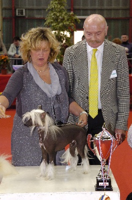 du domaine de Cha Su Bao - Perpignan CACIB 2014
